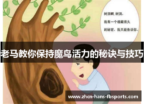 老马教你保持魔鸟活力的秘诀与技巧