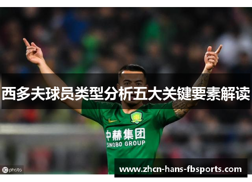 西多夫球员类型分析五大关键要素解读