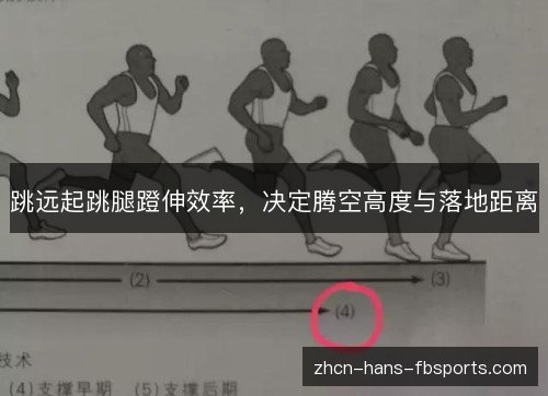 跳远起跳腿蹬伸效率，决定腾空高度与落地距离